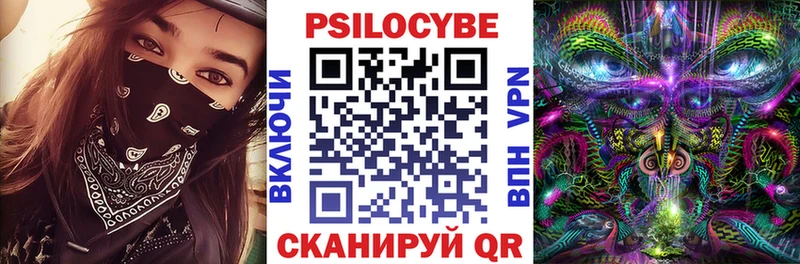 Купить закладки  Кондопога  Псилоцибиновые грибы Psilocybe 